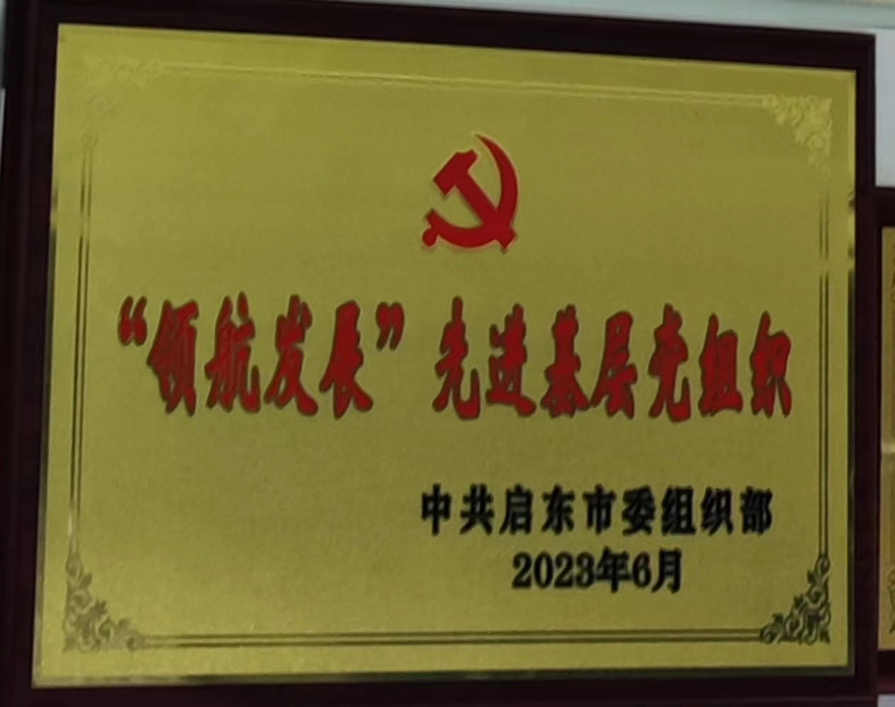 1709617953423776.jpg 1709617953423776.jpg