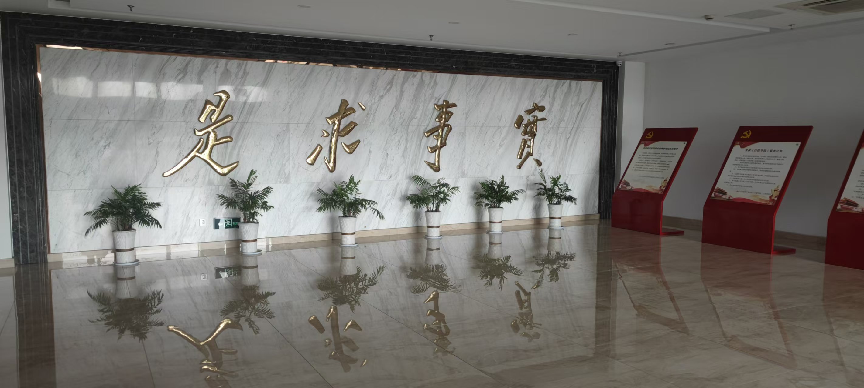 1730781654168813.jpg 1730781654168813.jpg