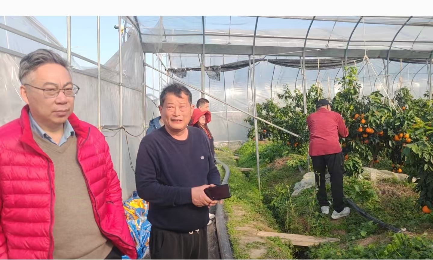 1733223531791784.jpg 1733223531791784.jpg