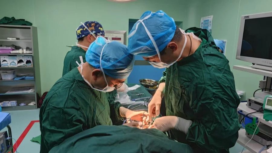 1739438105466421.jpg 微信图片_20250213171317.jpg