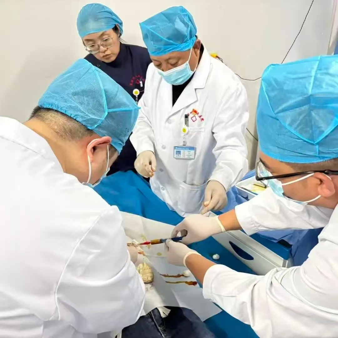 1760515604138308.jpg 微信图片_20251015155329_54_32.jpg