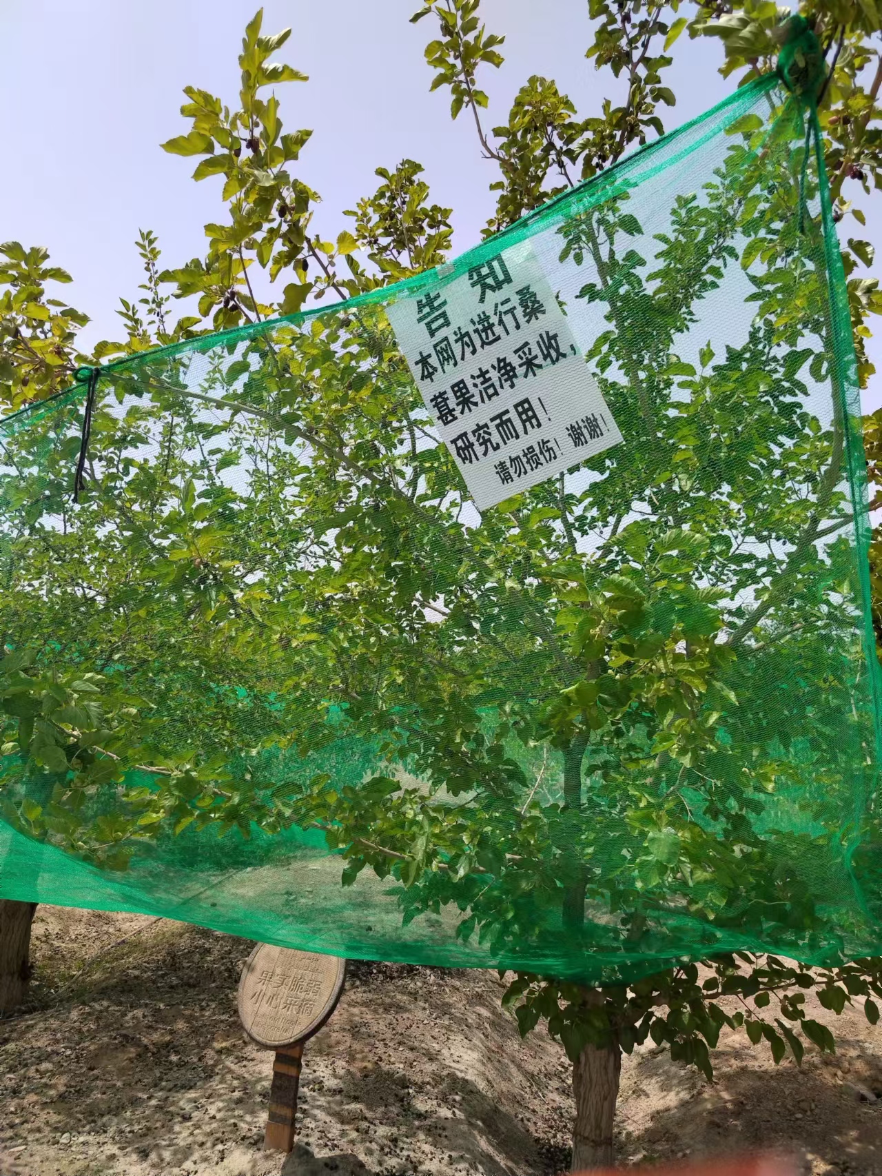 1765546325123070.jpg mmexport1765546292523.jpg