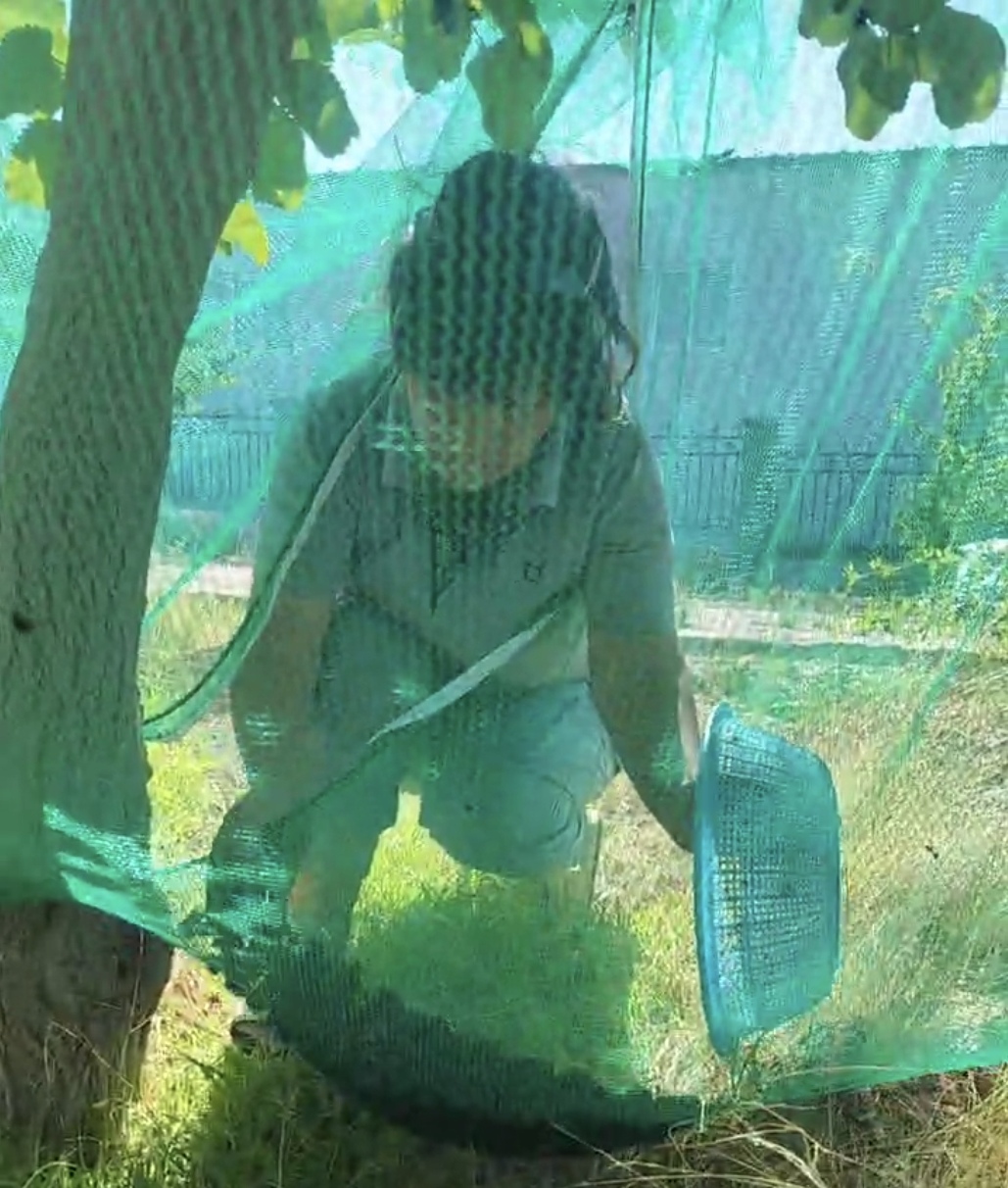 1765546399108719.jpg Screenshot_20251212_213234_com.tencent.mm_edit_521843902331079.jpg