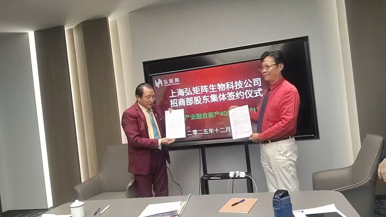 1765726606115148.jpg mmexport1765726376208.jpg