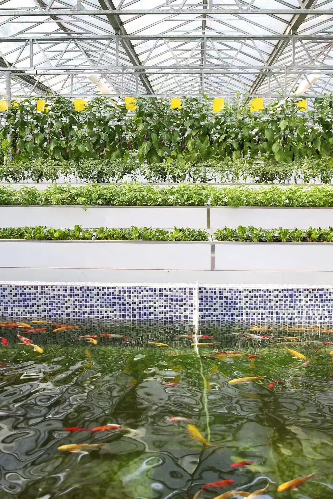 1765729045100414.jpg mmexport1765728970098.jpg